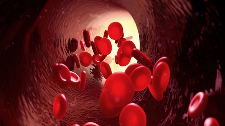 Hemoglobina crescuta: ce poate provoca un numar ridicat de celulele rosii
