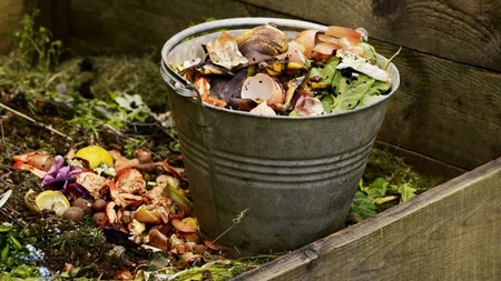 Tipuri de compost. Ce facem cu resturile vegetale?