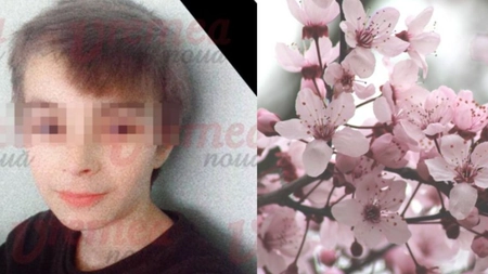 Sinucidere la Vaslui. Un băiat de 14 ani s-a spânzurat de un cireş din spatele casei sale