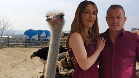 Struți africani la Iași! O familie vrea să dea lovitura cu o afacere care dispăruse complet acum câțiva ani. Au primit deja comenzi din țară și din străinătate