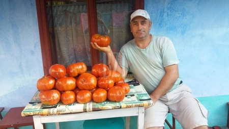 Ieșeanul care ar putea intra în Cartea Recordurilor cu aceste legume! A făcut deja liste cu clienții care vor să le cumpere. Se așteaptă să vândă 6 tone