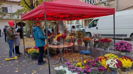 Imagini inedite de la cea de-a treia ediție a evenimentului ,,MolvoVia'' din Iași care a început astăzi -FOTO