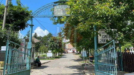 Patru firme vor să refacă aleile din Cimitirul 