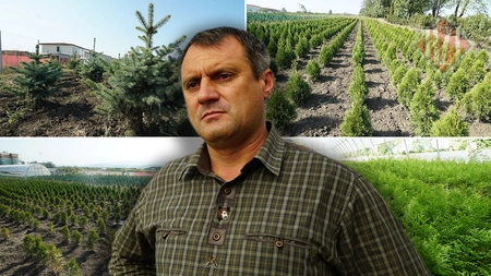 Direcția Silvică Iași a dat amenzi de 20.000 de lei în ultimele 3 luni! Sistemul de urmărire a materialului lemnos SUMAL 2.0 este funcțional