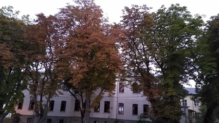 Scoala de la Palat - Școala de fete „Oltea Doamna”  4 noiembrie 1908 - 4 noiembrie 2021: Un lucru făcut cu dragoste și cu plăcere te face veșnic