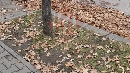 Ieşenii din zona Tudor Vladimirescu sunt nemulţumiţi de curăţenia stradală şi cer Primăriei Iaşi rezolvarea problemei - FOTO