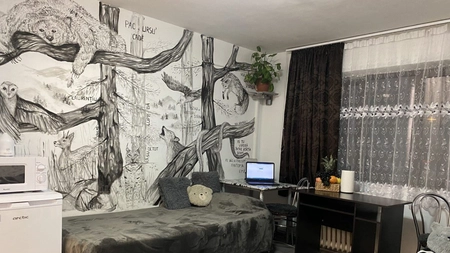 Direcția Servicii Studențești de la TUIAȘI: „Cea mai tare cameră din campus” a fost premiată cu cazare gratuită până la finalul anului. La concurs au participat 43 de studenți - FOTO