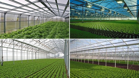AFIR a publicat raportul de selecție pentru proiectele depuse de tinerii fermieri din Iași, în perioada august-septembrie 2021! Vor investi fonduri europene în valoare de aproape un milion de euro