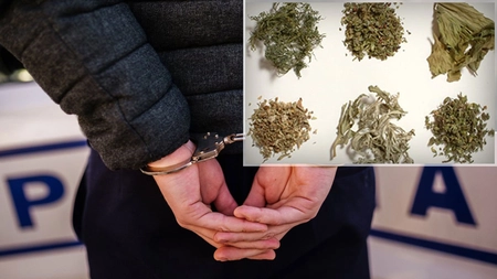 Lovitură de teatru pentru trei ieșeni acuzați de trafic cu etnobotanice! Decizie fulgerătoare luată de judecători în cazul acestora