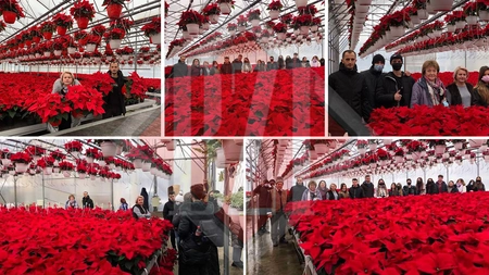 Afacere superbă, dezvoltată de mamă și fiu, absolvenți de facultate la Iași! Au investit 150.000 de euro într-o tradiție în familie de peste 27 de ani - GALERIE FOTO EXCLUSIV
