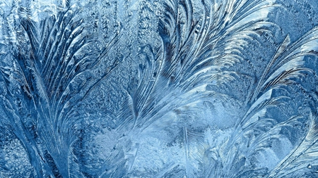 Cum se formează florile de gheață pe geamuri? Răspunsul este foarte simplu