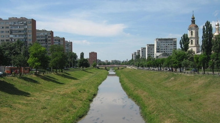 Autoritățile încearcă să salveze un câine care a căzut în râul Bahlui