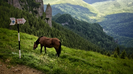 Excursie de 3 zile în România: Locuri de poveste cum doar la noi găsești
