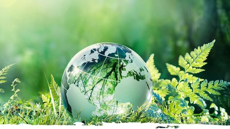 Klaus Iohannis a promulgat legea cu privire la educația pentru mediu. Ce oportunități vor avea elevii în viitor