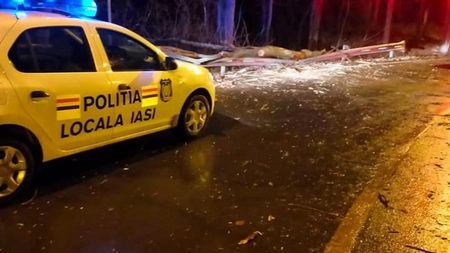 Rafalele puternice de vânt au creat probleme în Iași. Forțele de ordine au intervenit în mai multe zone -FOTO