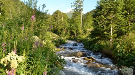 Natura: Frumusețe și magie. Miraj și vrajă