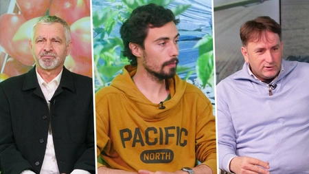 Prețurile legumelor din Iași vor crește cu minimum 20 la sută în anul 2022. Producător: ”S-a scumpit totul”