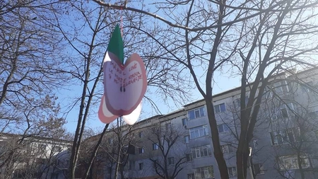 Campanie de stopare și prevenire a bullyingului, la Școala Gimnazială „Elena Cuza” din Iași - FOTO