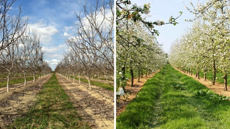 Ieșenii vor să investească jumătate de milion de euro în afacerile din mediul rural