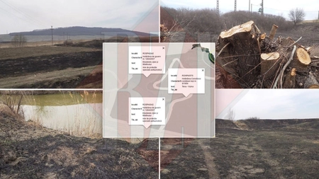 Imagini de coșmar! Așa arată Balta ”Teiva Vișina”, una dintre rezervațiile naturale ale Iașului. A fost mistuită de foc pus din interes? foto-video-update