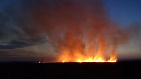 Incendiu de vegetație uscată în municipiul Pașcani județul Iași. La fața locului se deplasează două autospeciale de stingere cu apă și spumă - EXCLUSIV