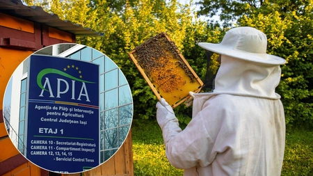 APIA Iași mai primește cereri în Programul Național Apicol până la 2 mai 2022