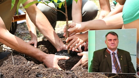 Direcția Silvică Iași a plantat 592.000 de puieți în campania de împăduriri