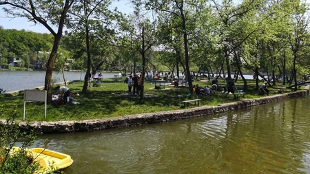 Pădurea Ciric poate deveni rezervație naturală! Parc urban la marginea Iașului