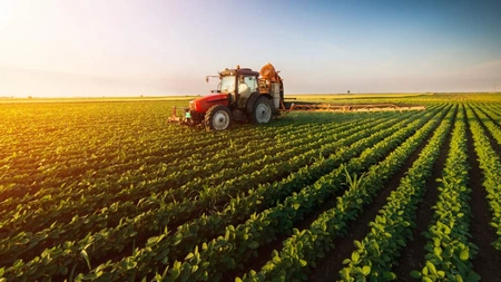Fost ministru al Agriculturii, privind avertismentul asupra unei viitoare crize alimentare
