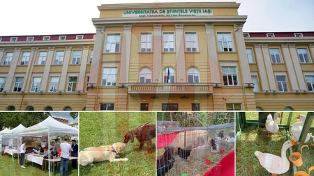„Animal Fest by USV Iaşi”, ediția 2022, primul PetEvent pentru întreaga comunitate iubitoare de animale