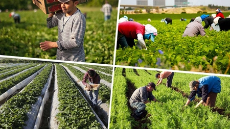 Se dau 100.000 de euro, bani pentru înființarea grupurilor de producători. Ieșenii pot depune proiecte din iulie 2022