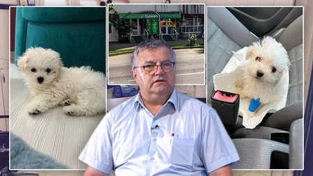 O ieșeancă a trecut prin clipe de coșmar și aduce acuzații grave unui cabinet veterinar din Iași! „Nu m-au anunțat când mi-a murit câinele!”