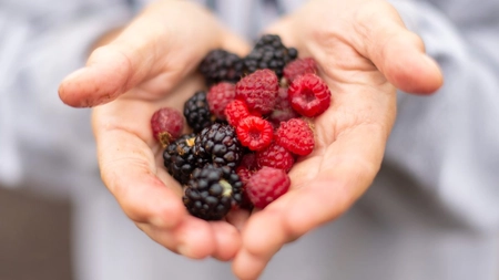 Zece fructe de vară pe care trebuie neapărat să le mănânci cât sunt în sezon