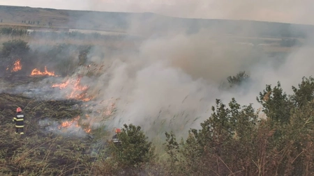 Incendiu de vegetație uscată și stuf în comuna Movileni. Pompierii intervin de urgență - EXCLUSIV, GALERIE FOTO, UPDATE