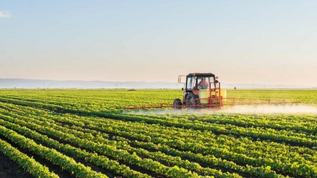 O delegație a Asociației Grânarii Iași, vizită de lucru la MADR