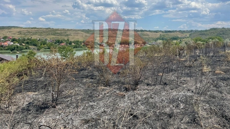 Incendii de vegetaţie în trei comune din judeţul Iaşi. Pompierii intervin în forţă - EXCLUSIV, FOTO