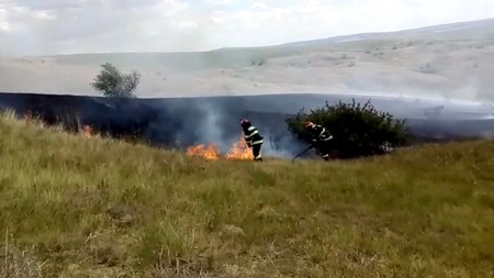 Incendiu de vegetaţie uscată în comuna Ion Neculce. Pompierii încearcă din răsputeri să stingă flăcările - FOTO, VIDEO