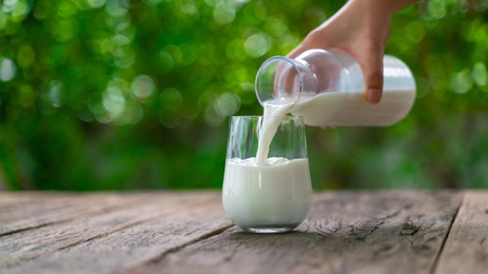 Laptele de măgăriță, tratamentul-minune pentru bolile plămânilor. Află care este doza zilnică recomandată de nutriționiști
