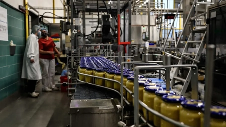 Franța raționalizează consumul de muștar. Alimentul nu se mai găsește aproape deloc