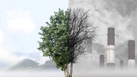 Calitatea aerului în judeţul Iaşi, în luna iunie 2022. Nu s-au înregistrat depăşiri ale valorilor maxim admise pentru niciunul dintre poluanţii monitorizaţi