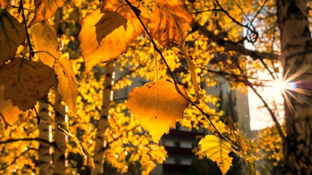 Vești excelente de la ANM. Luna septembrie vine cu temperaturi peste medie în toată țara