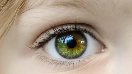 Ochii hazel. De unde provine această culoare uimitoare
