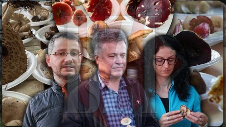 Spectaculos și inedit eveniment, zilele acestea, la Grădina Botanică din Iași! Vedetele sunt specii fascinante și incitante, respectiv o atracție „mortală” – GALERIE FOTO, VIDEO EXCLUSIV  