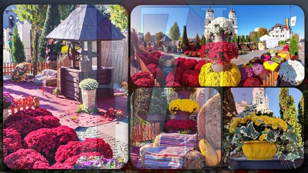 A început ediția de toamnă a Festivalului FloraIIs. Ce pot vedea ieșenii