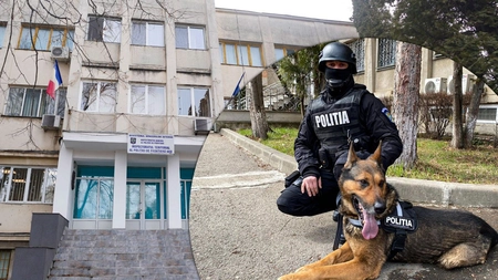 Poliția de Frontieră a alocat 90.000 de euro pentru câinii din dotare! Două firme s-au prezentat la licitație