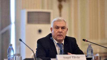 O muzeografă de la Muzeul Vrancei i-ar fi scris teza de doctorat a ministrului Apărării, Angel Tîlvăr
