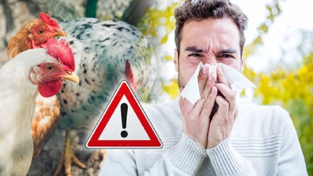 Focar de gripă aviară la graniţă cu România! Ungaria a descoperit un caz de gripă aviară înalt patogenă H5N1