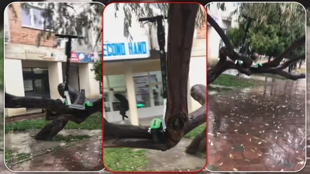 Ieşenii se dovedesc extrem de inventivi în ceea ce privește „parcarea” trotinetelor electrice! Un utilizator a urcat mijlocul de transport alternativ într-un pom din zona Nicolina! - VIDEO
