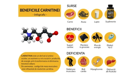 Body Line. Cum slabesti cu ajutorul suplimentului L-Carnitina?