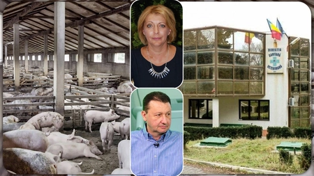 Ieșenii plătesc mai mult pentru carnea de porc de pe masa de Crăciun. Mary Pană: „Carnea este adusă din Spania, Germania, Polonia”